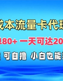 （13391期）免费流量卡代理一单80+ 一天可达2000+