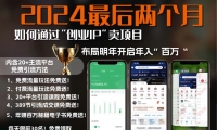 （13322期）2024最后两个月如何通过”创业IP“卖项目年入”百万“,创业IP+最强引流...