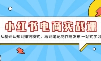 （13298期）小红书电商实战课，从基础认知到赚钱模式，再到笔记制作与发布 一站式学习