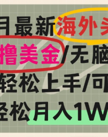 （13390期）海外头条，无脑搬运撸美金，小白轻松上手，可矩阵操作，轻松月入1W+