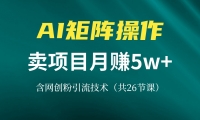 （13335期）网创IP打造课，借助AI卖项目月赚5万+，含引流技术（共26节课）