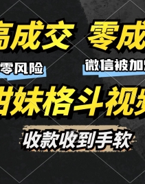 （13384期）高成交零成本，售卖甜妹格斗视频，谁发谁火，加爆微信，收款收到手软