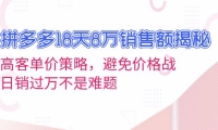 （13383期）拼多多18天8万销售额揭秘：高客单价策略，避免价格战，日销过万不是难题