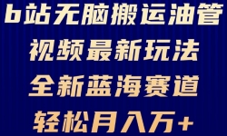 （13155期）B站无脑搬运油管视频最新玩法，轻松月入过万，小白轻松上手，全新蓝海赛道