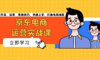 （13341期）京东电商运营实战课，传授开店、运营、营销技巧，快速上手，打造电商爆款