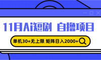 （13375期）11月ai短剧自撸，单机30+无上限，矩阵日入2000+，小白轻松上手