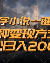 （13385期）百万字小说一键生成，多种变现方式，轻松日入2000+